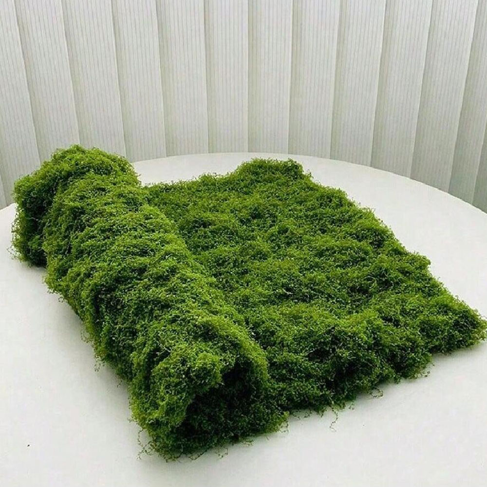 Sphagnum Moss Dry - 1*1m Fake Moss DIY Crafts Grass