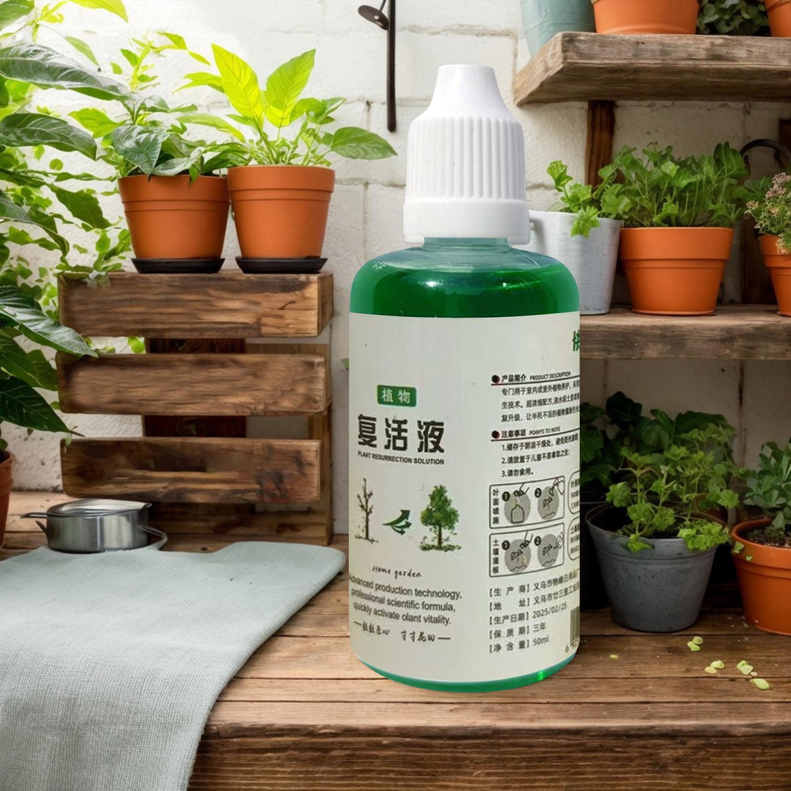Root Stimulator for Plants Roo - Root Stimulator Liquid review and price