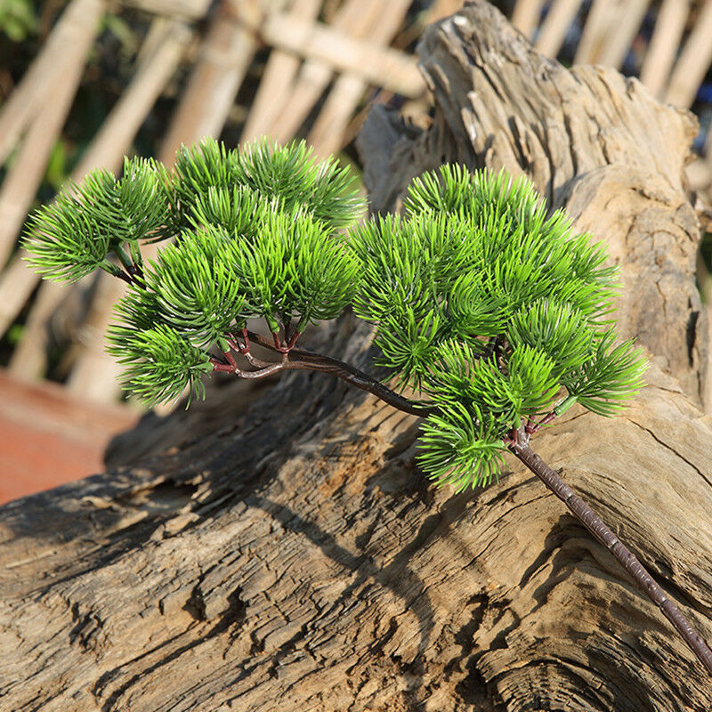 42cm Artificial Plant Pine Bra - Sphagnum Moss Dry review and price