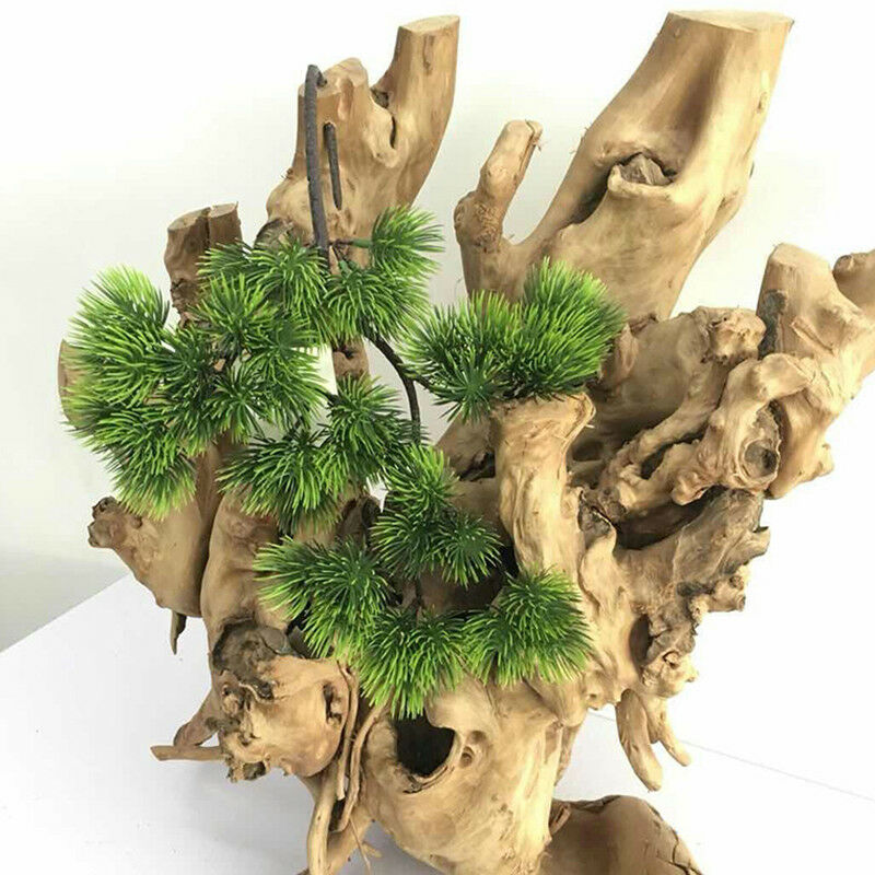 42cm Artificial Plant Pine Bra - Sphagnum Moss Dry review and price