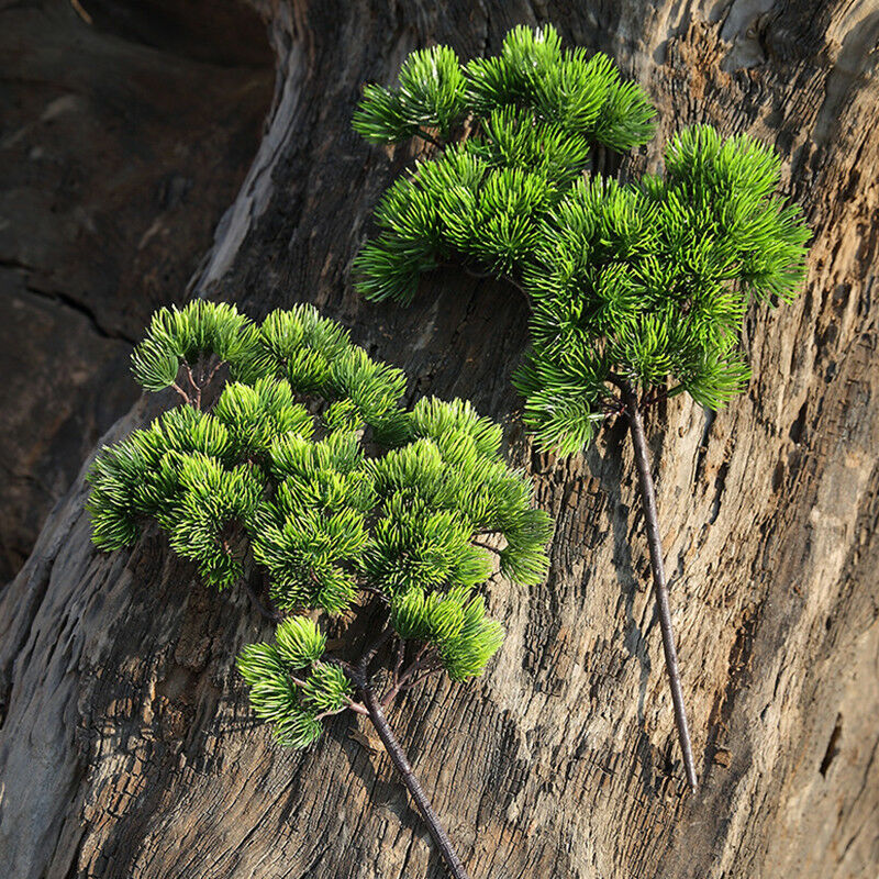 42cm Artificial Plant Pine Bra - Sphagnum Moss Dry review and price