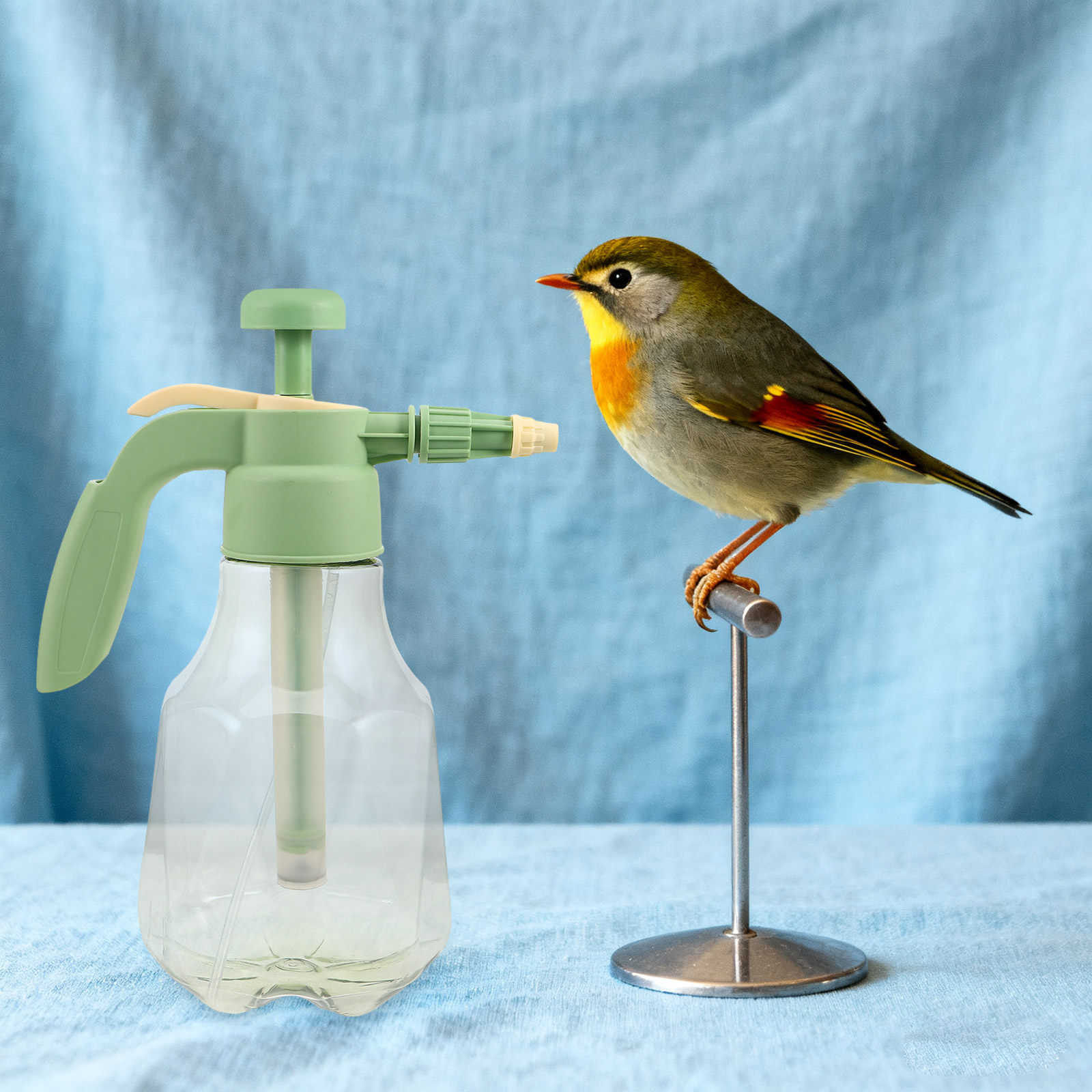 Adjustable Nozzle Handheld Bir - Misting Bottle Fine review and price