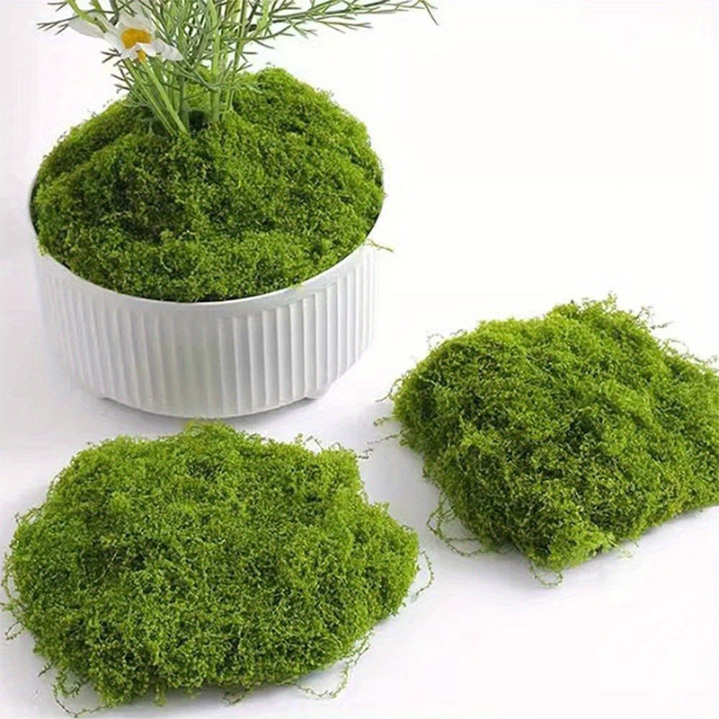 Green Fake Moss DIY Crafts Gra - Sphagnum Moss Dry review and price