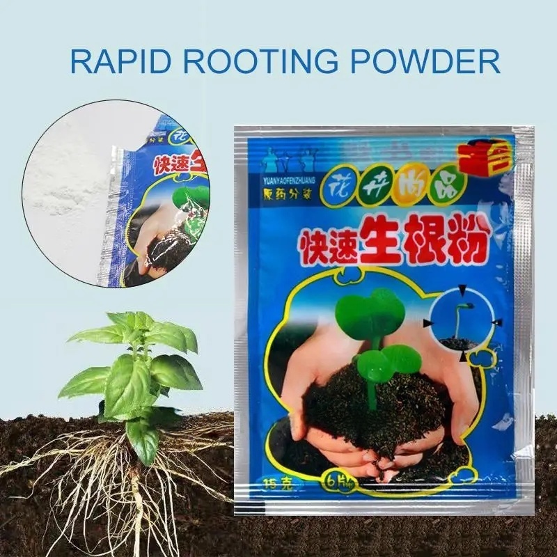 5pcs Fast Rooting Powder Plant - Rooting Hormone Powder review and price